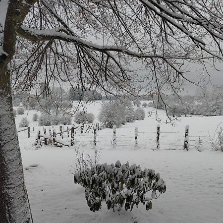Abri De Jardin Villa วีแยลซาลม์ ภายนอก รูปภาพ